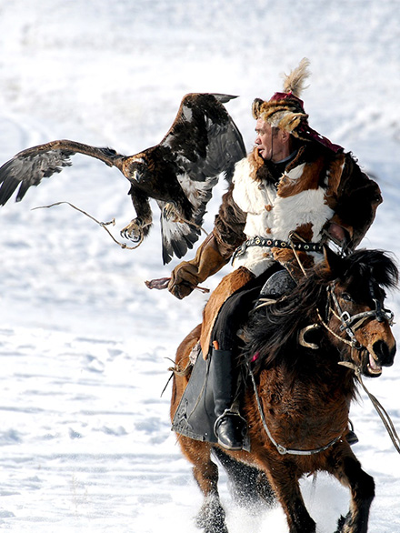 eagles